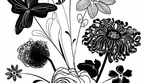 Schwarz / weiß Blumen Stockfotografie - Alamy