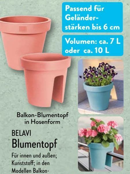Aldi Nord Blumentopf