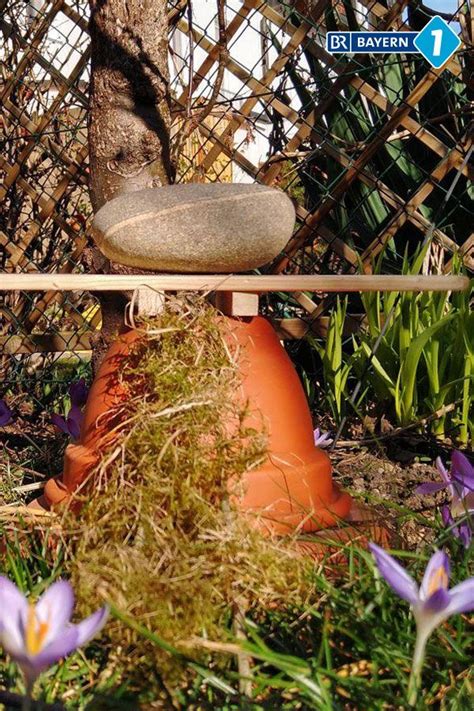 Hummelnest bauen So helfen Sie Hummelköniginnen auf Wohnungssuche BR