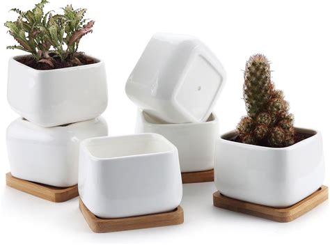 Blumentopf kaufen bei OBI