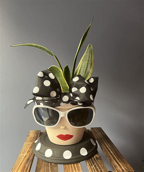 Kostenloses Foto zum Thema blumentopf, frau, gucken