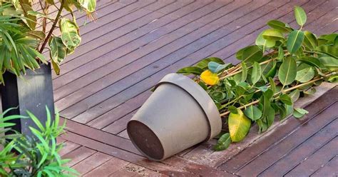 Elho Regenrohr Pflanzengefäß Fallrohr Blumentopf Blumenkübel eBay