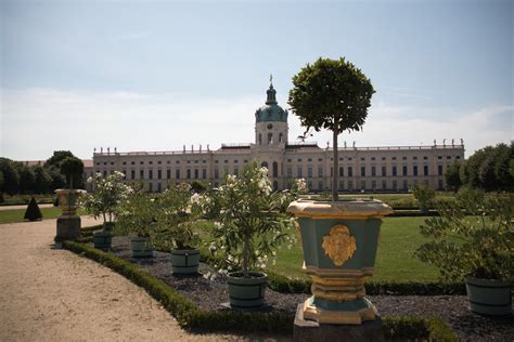 Blumentopf kaufen bei OBI
