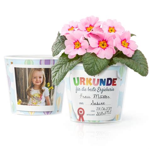 Gartenzellstoff Kindergarten Torf Töpfe Single Grid Papier Blumentopf