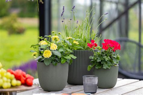 Capi Blumentopf Nature Row Kugel 40 x 32 cm Schwarz KBLRO270 METRO