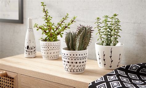 Blumentopf mit Ethno Muster selber bemalen mömax blog