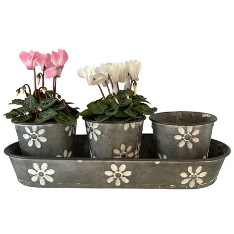 Blumentopf Hängend Rechteckig Schwarz S Online Shop schischi home