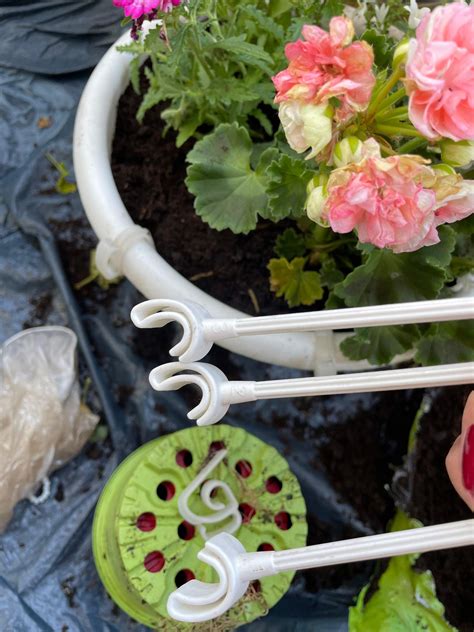 UPP FallrohrBlumentopf Pflanztopf Pflanzkübel Pflanzgefäß Regenrohr