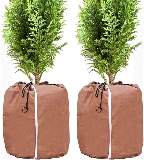 TannenzapfenDeko Die 13 schönsten Ideen Dekoideen weihnachten, Deko