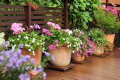 Blumentopf Standard mit Untersetzer in versch. Größen und Farben