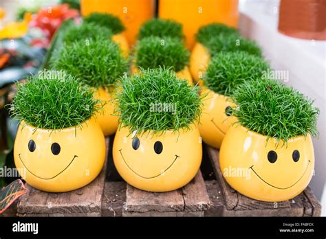 Emoji Flower Pot Best Flower Site