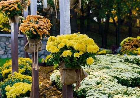 Teleskop Stange Blumenstange Blumentopf Kaufen auf Ricardo