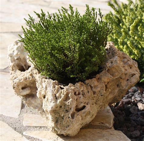 Blumentopf Stein Topf Pflanztopf Blumenkübel Pflanzschale Pflanzkübel