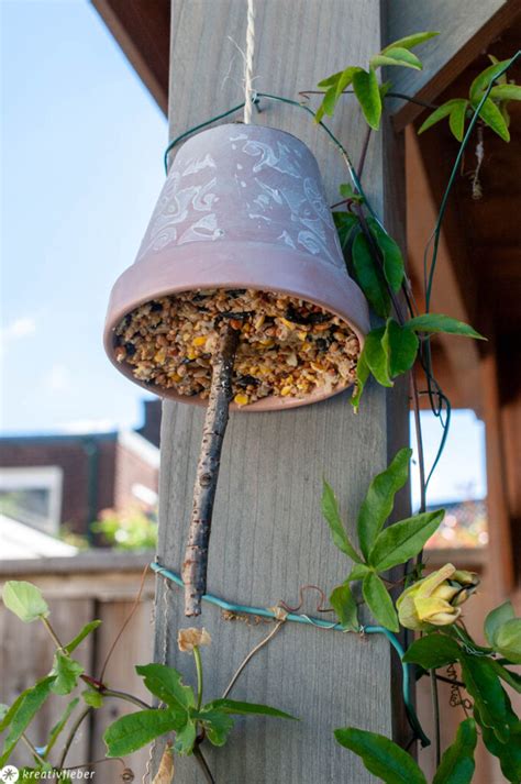 VogelfutterMuffins für die Vögel im Winter Vogelfutter selber machen