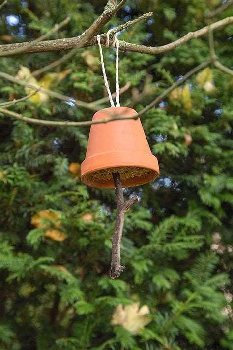 Vogelfutter selber machen Das Auge isst mit in 2020 Vogelfutter