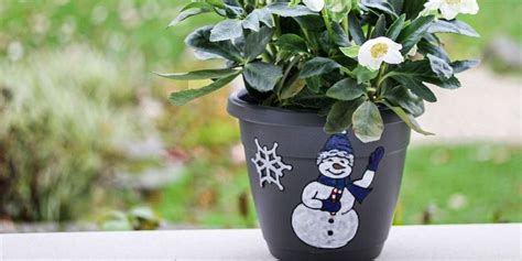 So heben Sie Ihre Topfpflanzen in Winter auf