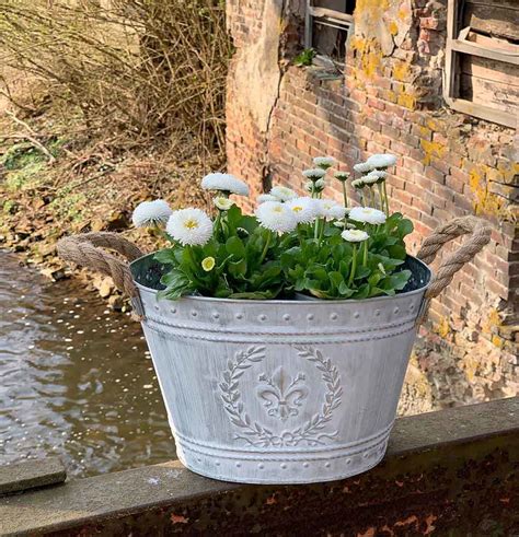 Madam Stoltz Blumentopf Zink Gold 2S schischi home