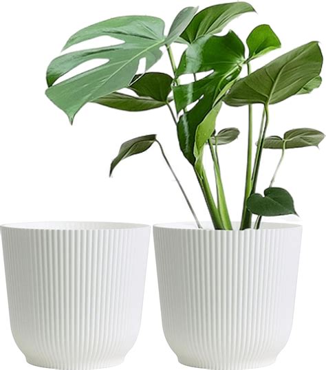 Blumentopf kaufen bei OBI