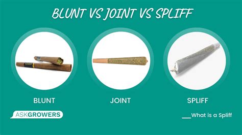 blunt vs joint