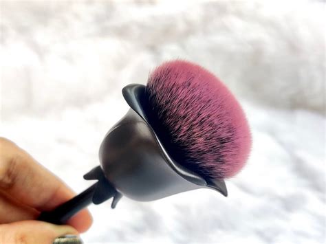 Blush Brush Rose