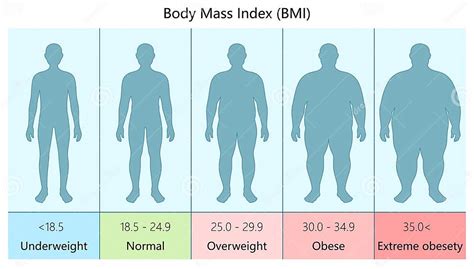 bmi body visualiser