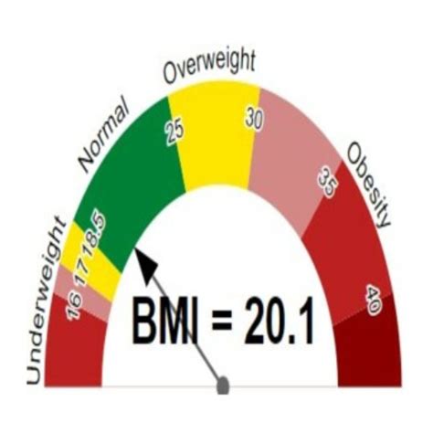 Bmi Calculator Km