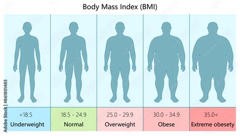 bmi visualiser