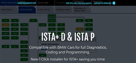 Bmw Injector Coding Ista