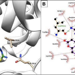 Bnf Ibuprofen Interactions