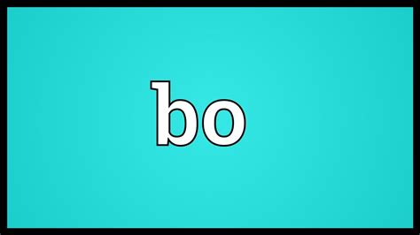 bo meaning in english translation