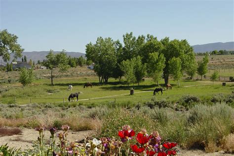 Boarding In Gardnerville