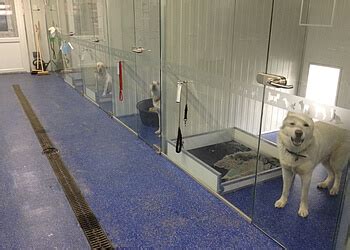 Boarding Kennels Nottingham