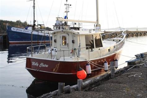 boats in nfld for sale