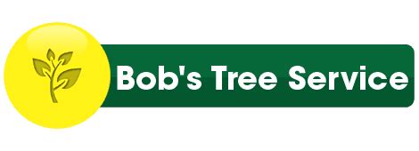 bob's tree service brewerton ny