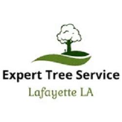 bob's tree service lafayette la