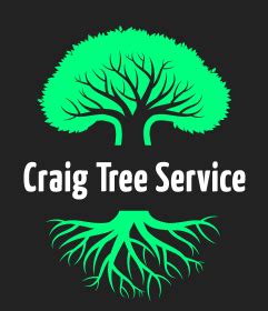 bob craig tree service