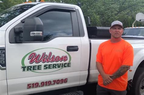 bob wilson tree service