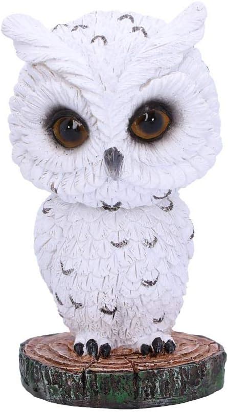 Bobble Head Owl Amazon
