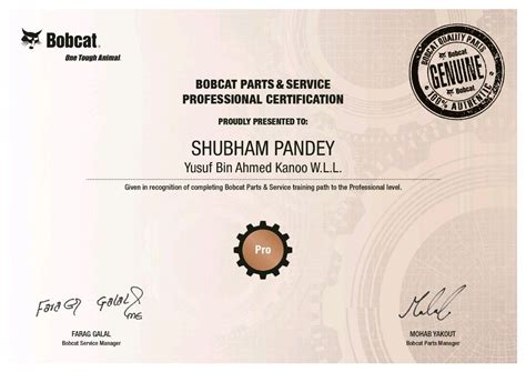 bobcat certification online