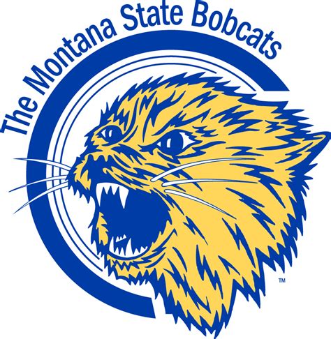 bobcat club montana state
