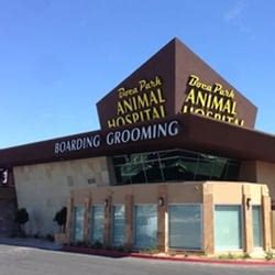 boca animal hospital las vegas