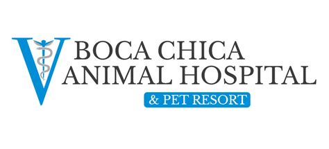 boca chica animal hospital & pet resort