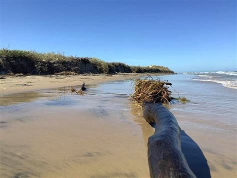 boca chica state park