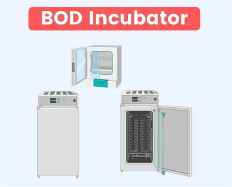 Bod Incubator Validation