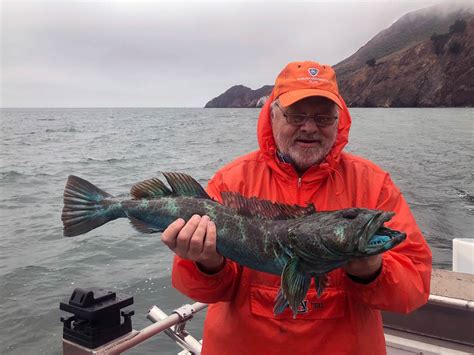 Bodega Bay Halibut Fishing