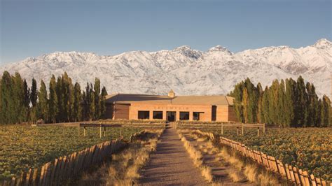 bodegas en mendoza ciudad