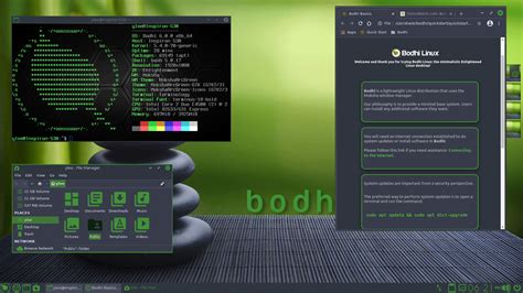 bodhi linux netflix