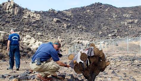 Bodies Granite Mountain Hotshots Death Photos Liveleak Arizona Wild Fires Pictures Shocking Aerial Images Show
