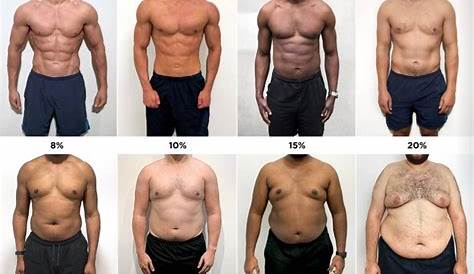 Body Fat Person Can Have Scale And Monitor Which One Really Works?