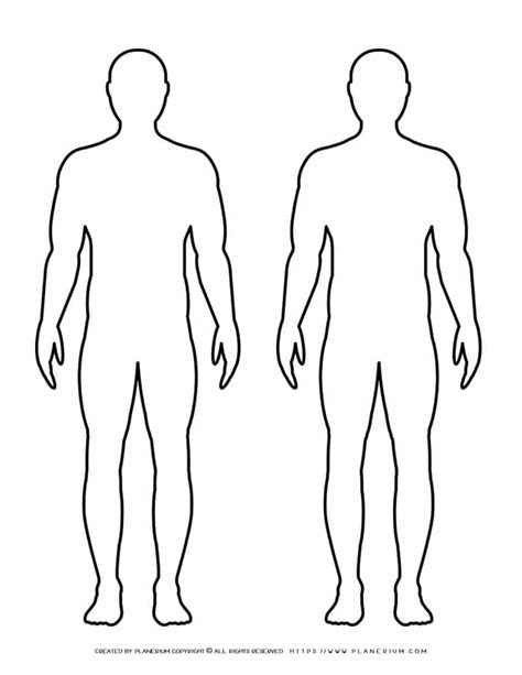 Human Body Outline Image ClipArt Best